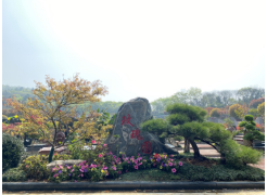 南京市岱山墓园园区图片