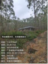 江尾镇仙北村北三村小组长安楼