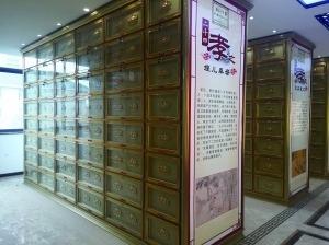 龙扬镇骨灰堂园区图片