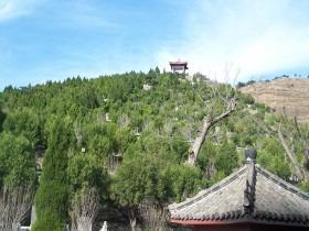 泰安冠邑泰山陵墓公园有限公司园区图片