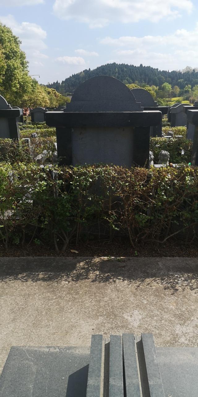 大英县伏龙山陵园园区图片