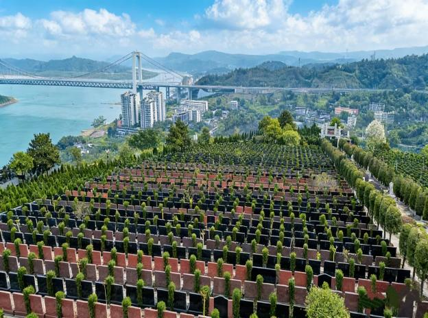 重庆市南岸区灵安陵园有限公司园区图片