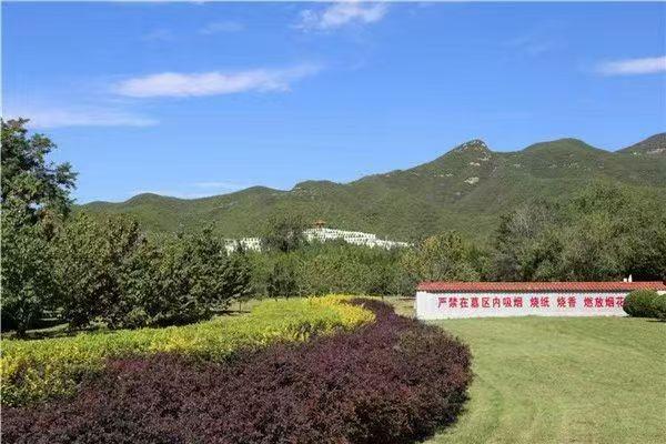 炎黄陵园园区图片