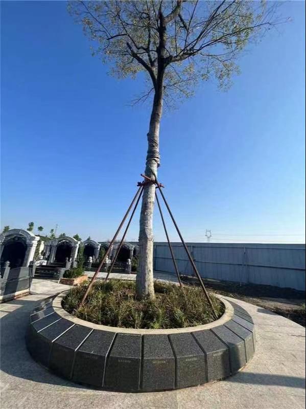 固始锦孝陵公墓开发有限责任公司园区图片