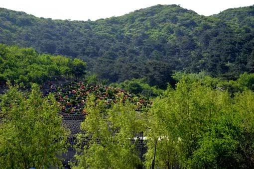 鞍山市千山区长青公墓园区图片