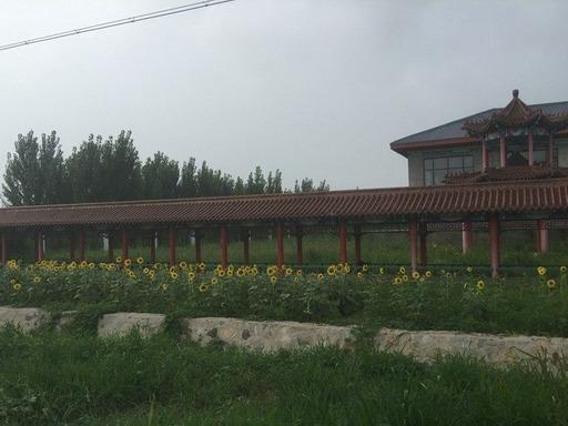 天津市德慈塔陵园区图片