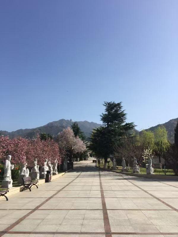 长安慈恩园开发有限责任公司园区图片