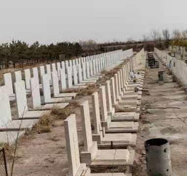 杭锦旗福寿龙陵园有限责任公司园区图片