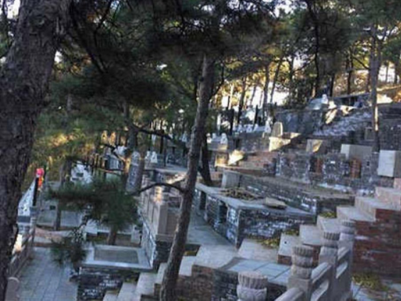 金山陵园园区图片