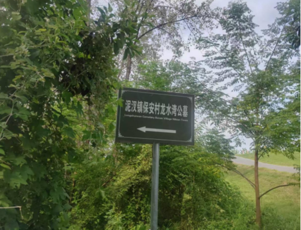 泥汊镇龙水湾公墓园区图片