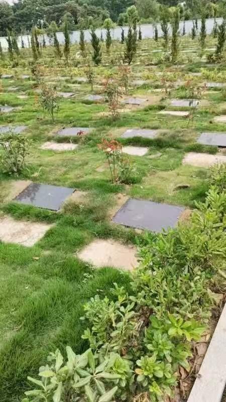 高塍镇状元公墓园区图片
