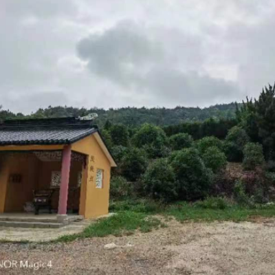 苏州市吴中区光福鲤山公墓园区图片