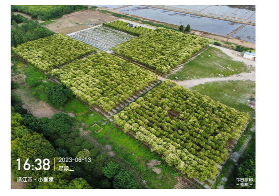 孤山镇勤丰公墓