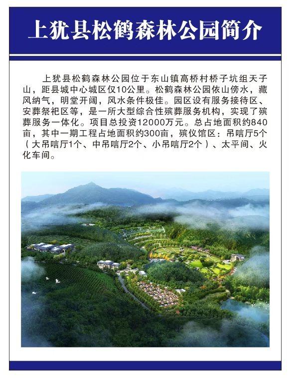 上犹县松鹤森林公园园区图片