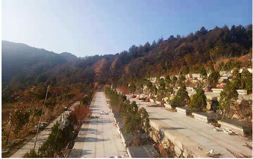 桐城市黄甲镇仙居岭公墓园区图片