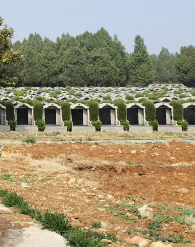 太阳山公墓园区图片