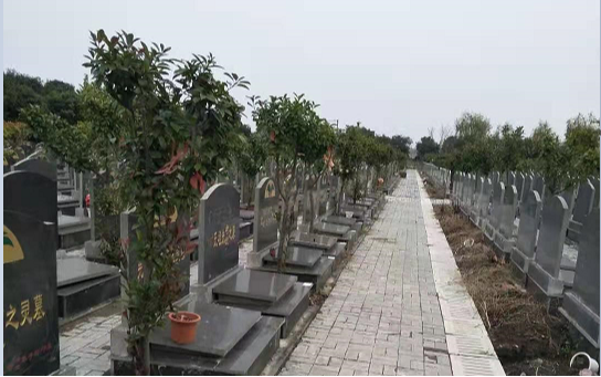 盐都区大纵湖镇晨阳公墓