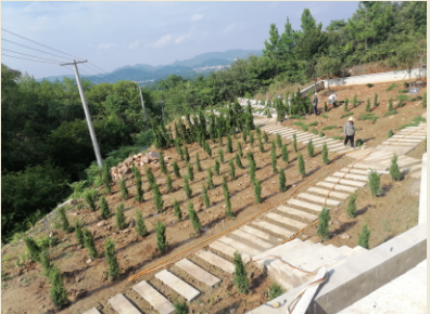 怀宁县石镜乡公益性公墓园区图片