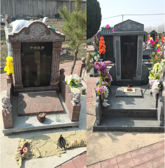 台安县安祥园服务中心园区图片