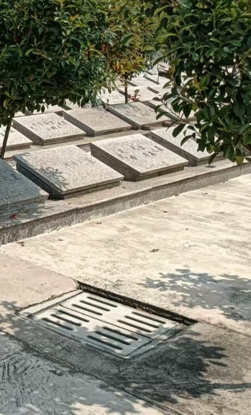 俞垛镇永安园公墓园区图片