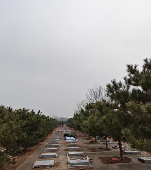 北京市顺义区杨镇地区沙子营村公益性公墓园区图片