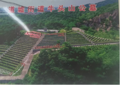 上虞区道墟街道公墓园区图片