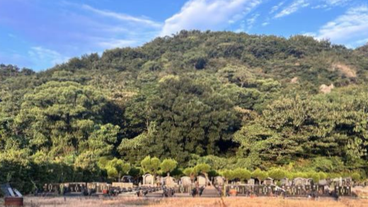 温岭市箬横镇鲤龙山墓地