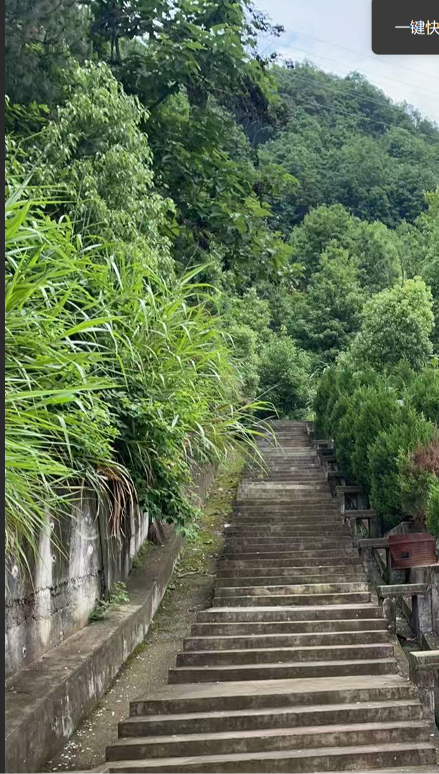 店口镇六加岭公墓园区图片