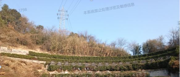 横山天伦园园区图片