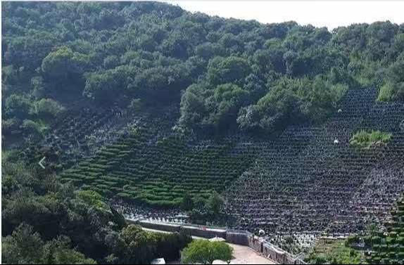 马山街道公益性公墓园区图片