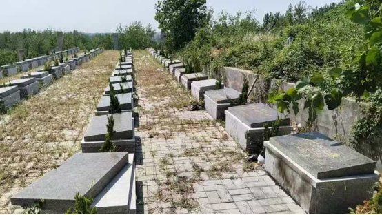 邳州市车辐山镇静安公益性公墓园区图片