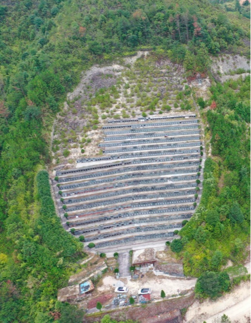 泰顺县龟湖镇神龙山公墓服务中心园区图片