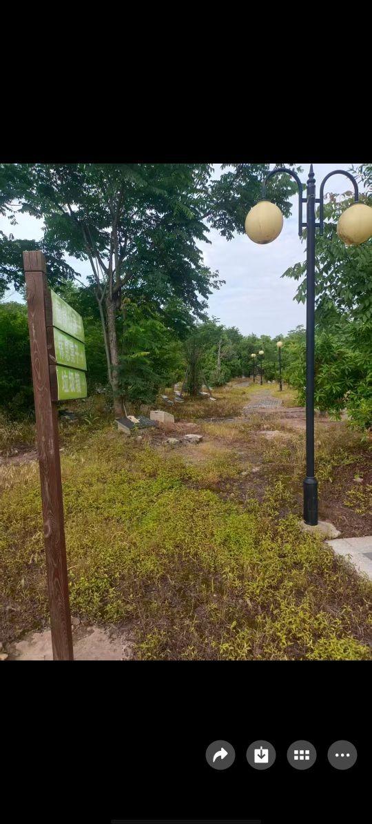 浮石街道节地生态安葬点园区图片