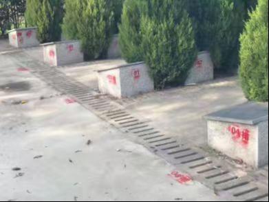 黄桥镇公益性公墓朱何墓区园区图片