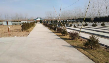 沭阳追思园耿圩公墓园区图片