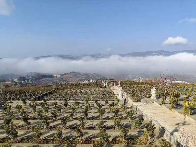 会泽五龙艺术园园区图片