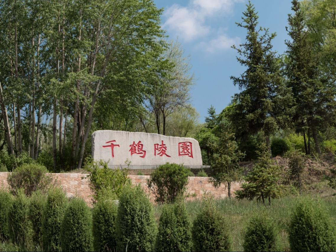 青海千鹤陵园有限公司园区图片