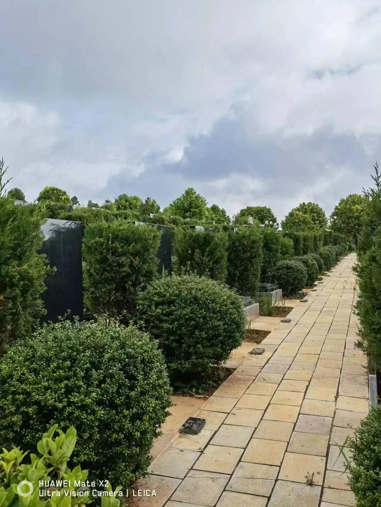 陆良县福宝山陵园园区图片