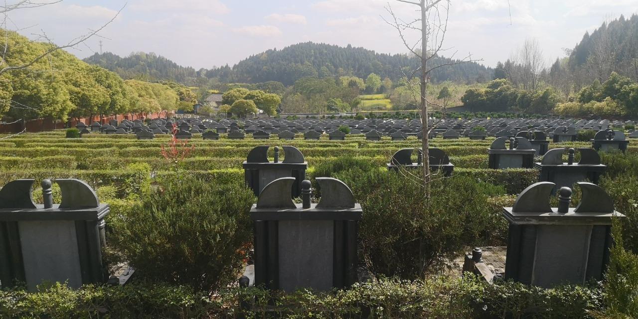 大英县伏龙山陵园园区图片