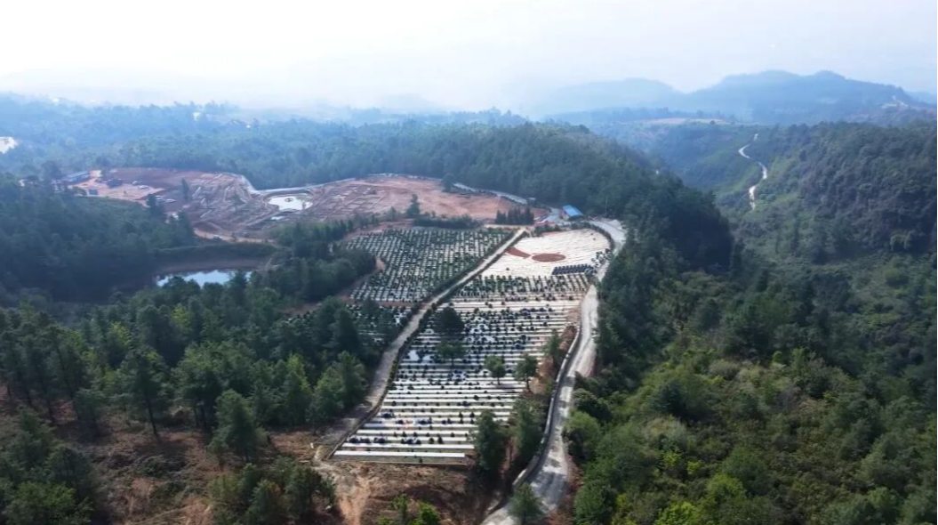 武定狮山大惠陵园园区图片