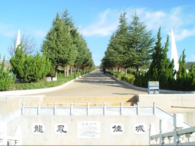龙凤公墓园区图片