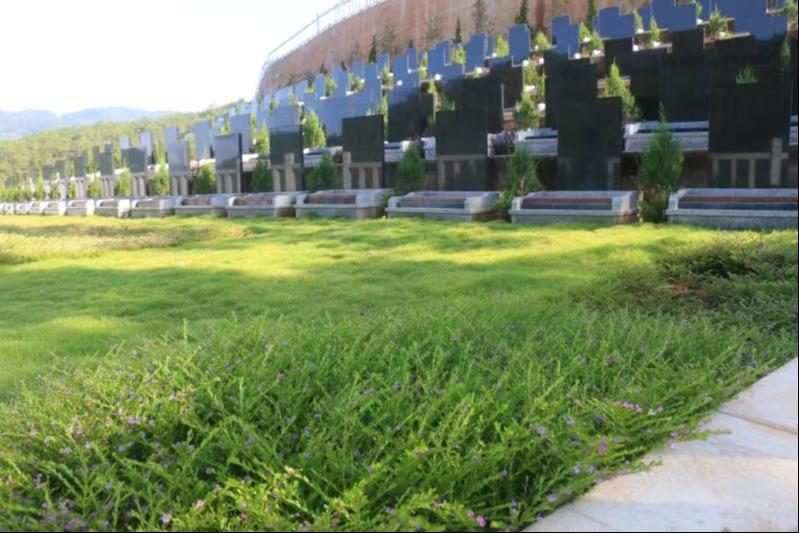 思茅区白云山公墓园区图片