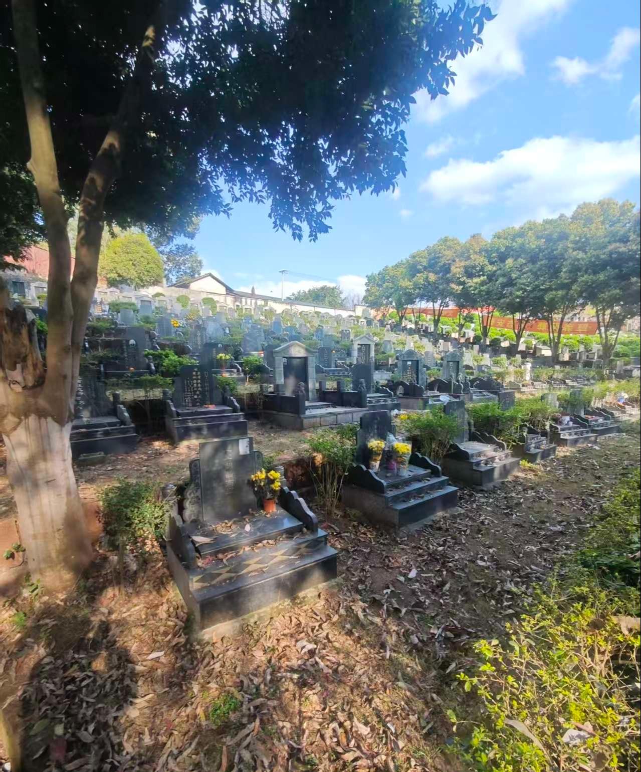 青神县公墓园区图片