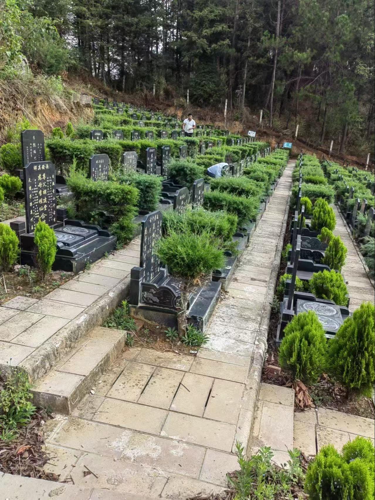 墨江县碧山泉公墓园区图片