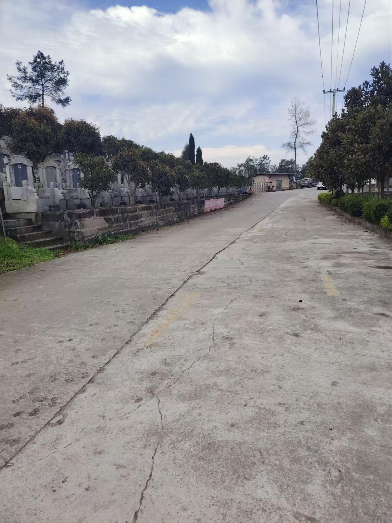 大竹县猴儿岩公墓园区图片