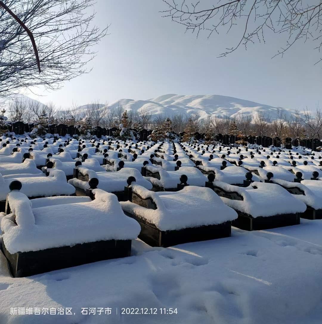 石河子南山陵园、北阳山生态园园区图片