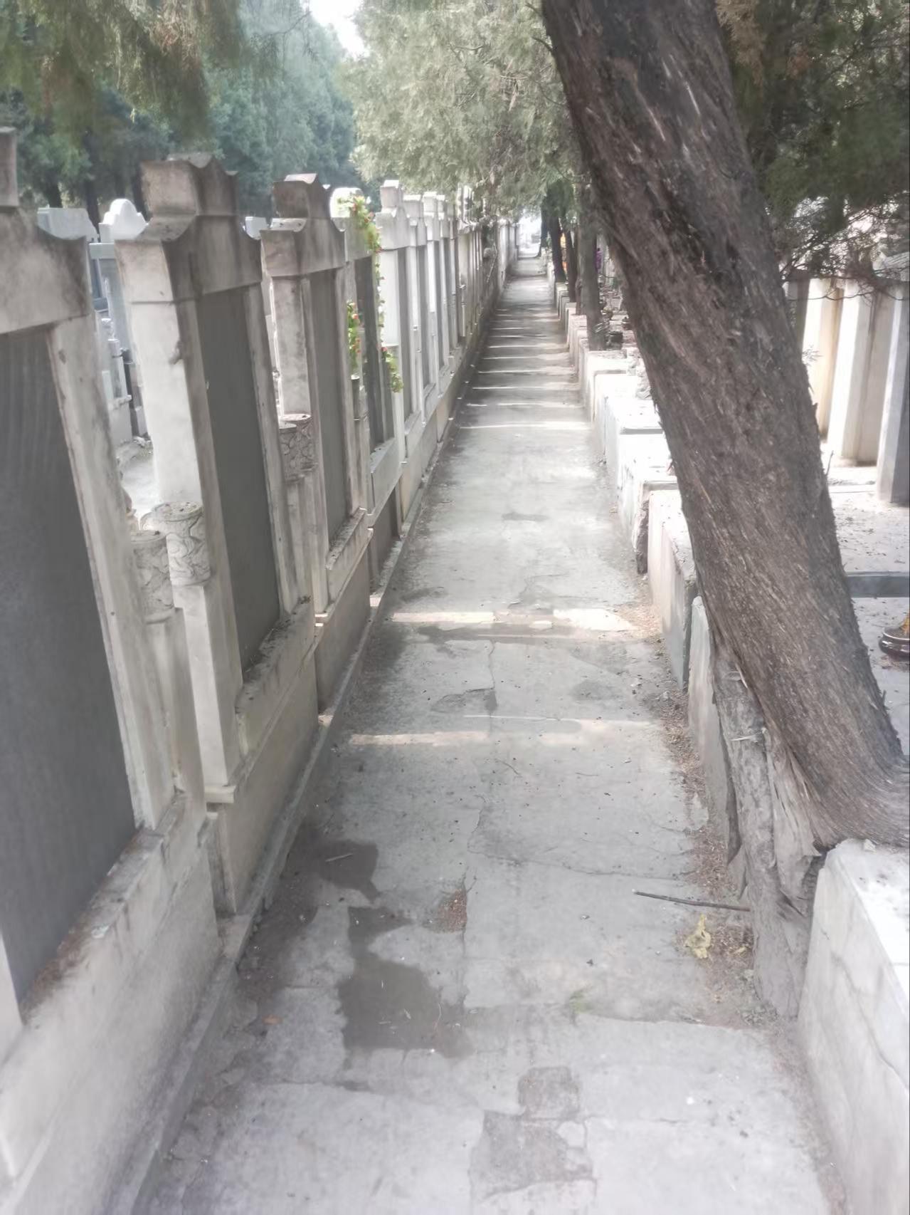开封市仙人庄公墓管理处园区图片