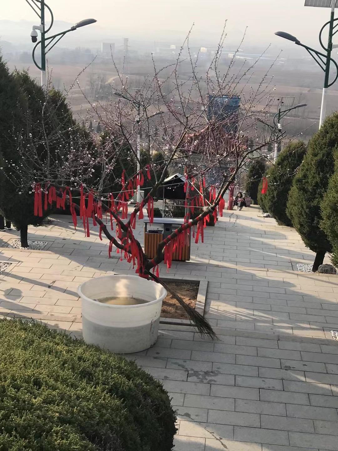 庄河市馒头山墓园有限公司园区图片