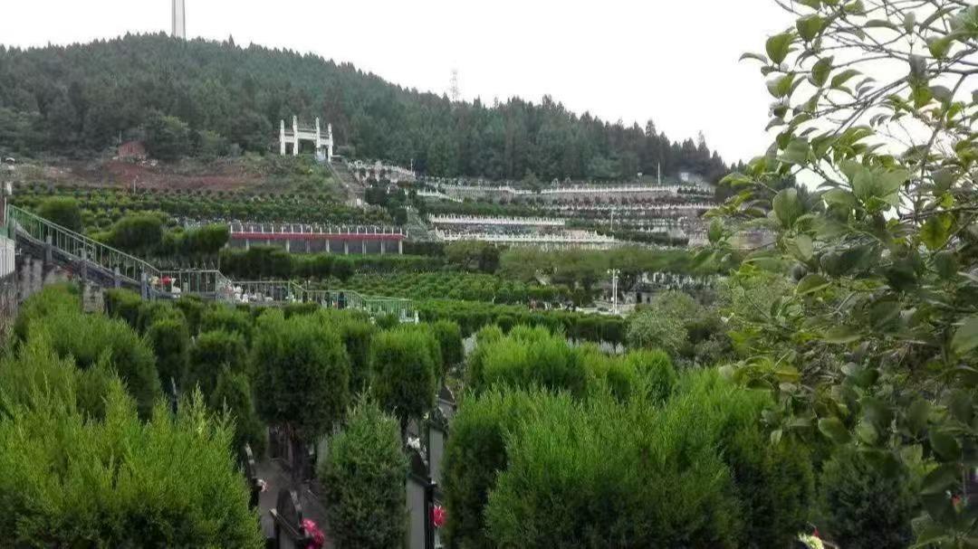 百芳公墓园区图片