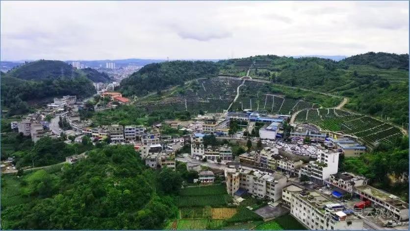 黔西市椅子山公墓园区图片